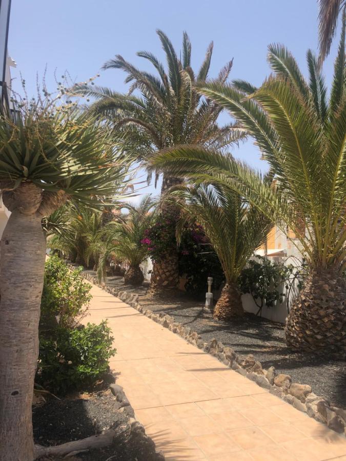 Apartamento Smile Complex Amaya Fuerteventura Costa De Antigua Exteriör bild
