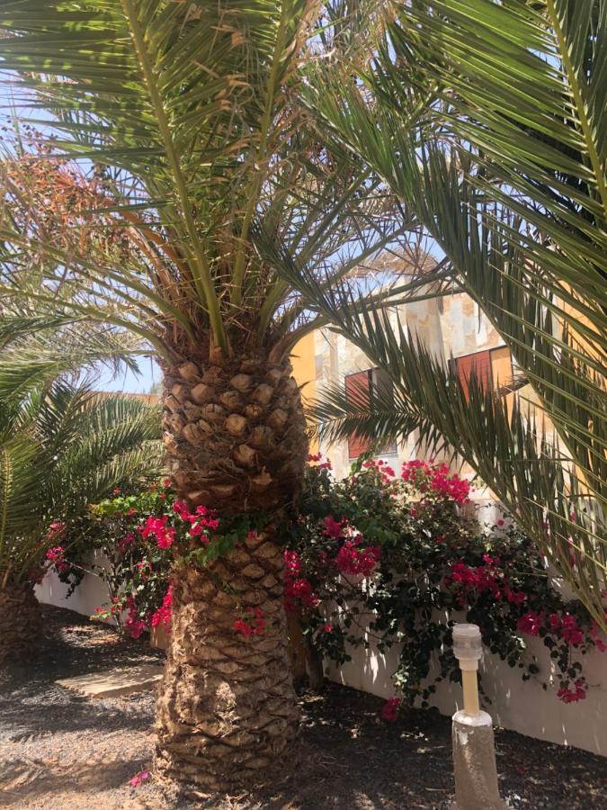 Apartamento Smile Complex Amaya Fuerteventura Costa De Antigua Exteriör bild